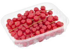 Rode Bessen 500g-SCHAAL