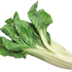 Mangold Vers per stuk