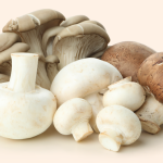CHAMPIGNONS 3E SOORT 1L