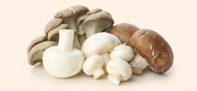 CHAMPIGNONS 3E SOORT 1L - Afbeelding 1