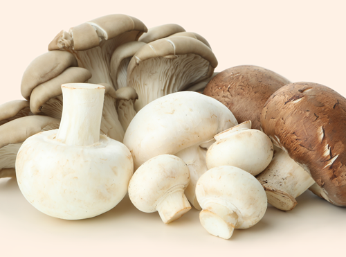 CHAMPIGNONS 3E SOORT 1L
