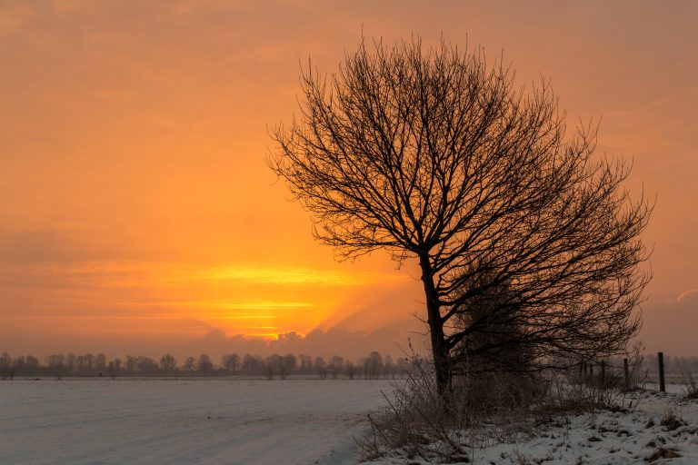 Dülmen, Hausdülmen, Sonnenaufgang -- 2015 -- 4952