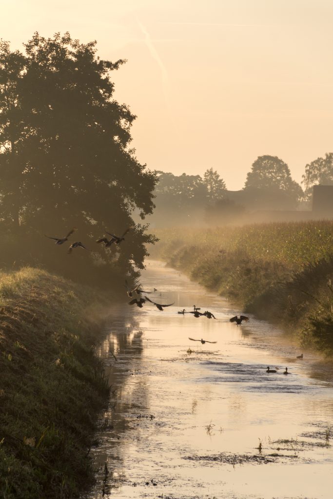 Dülmen, Umland, Sonnenaufgang -- 2012 -- 8084