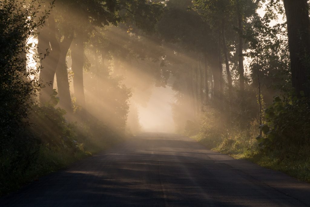 Dülmen, Umland, Sonnenaufgang -- 2012 -- 8069