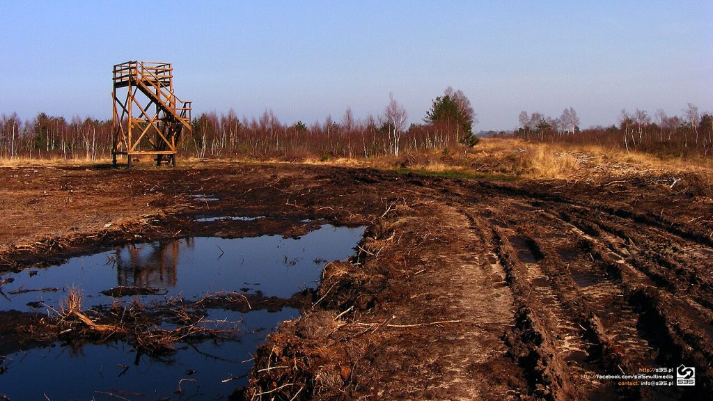 500px Provided Description: Poland, Wildlife Region, Bielawa – Hd Wall — Wallpapers | RESIMLAND
