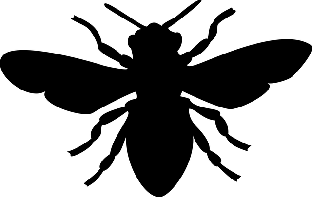Bee Black Honey Insect