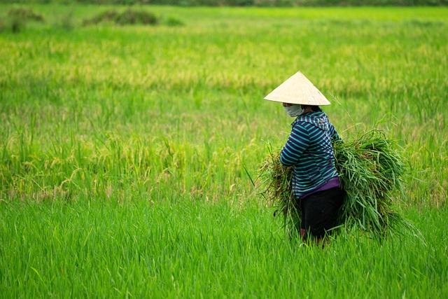 Farmer Woman Agriculture Countryside — Agriculture & Farming & Agriculture Photography | RESIMLAND