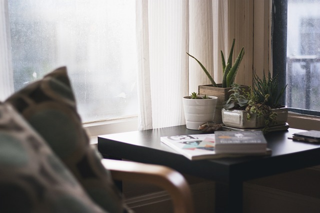 Home Nature House Interior — Home & Living | RESIMLAND