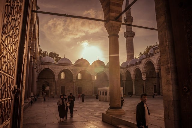 Istanbul Nature Turkey Mosque Courtyard