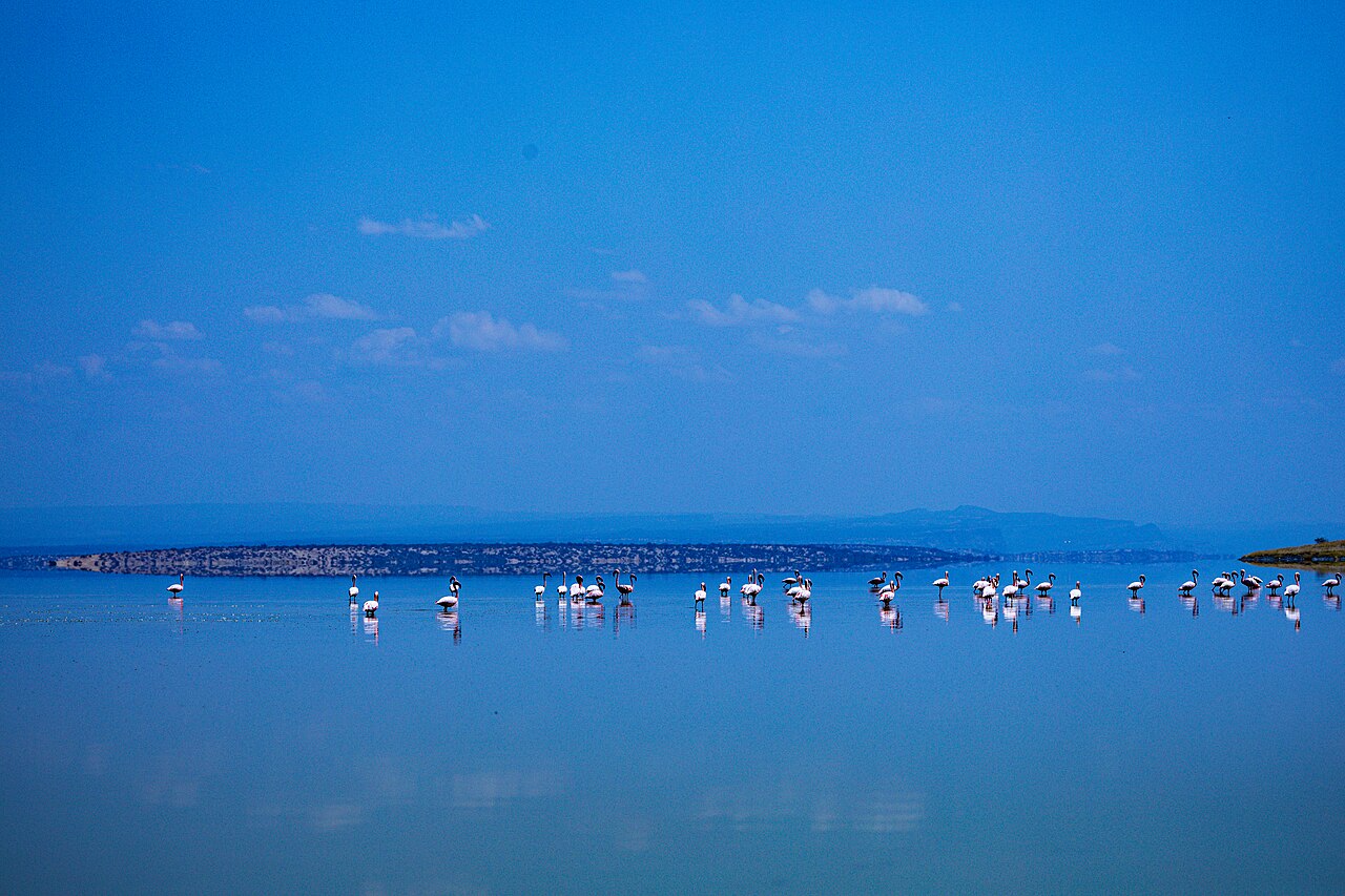Lake Magadi Adventures Travel Lifestyle Photoshoot Photography — Photography | RESIMLAND