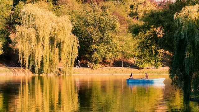 Landscape Nature Lake Cool Backgrounds