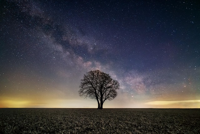 Night Sky Cool Backgrounds Windows Wallpaper Tree — Wallpapers | RESIMLAND