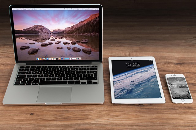Office Freelancer Computer Business