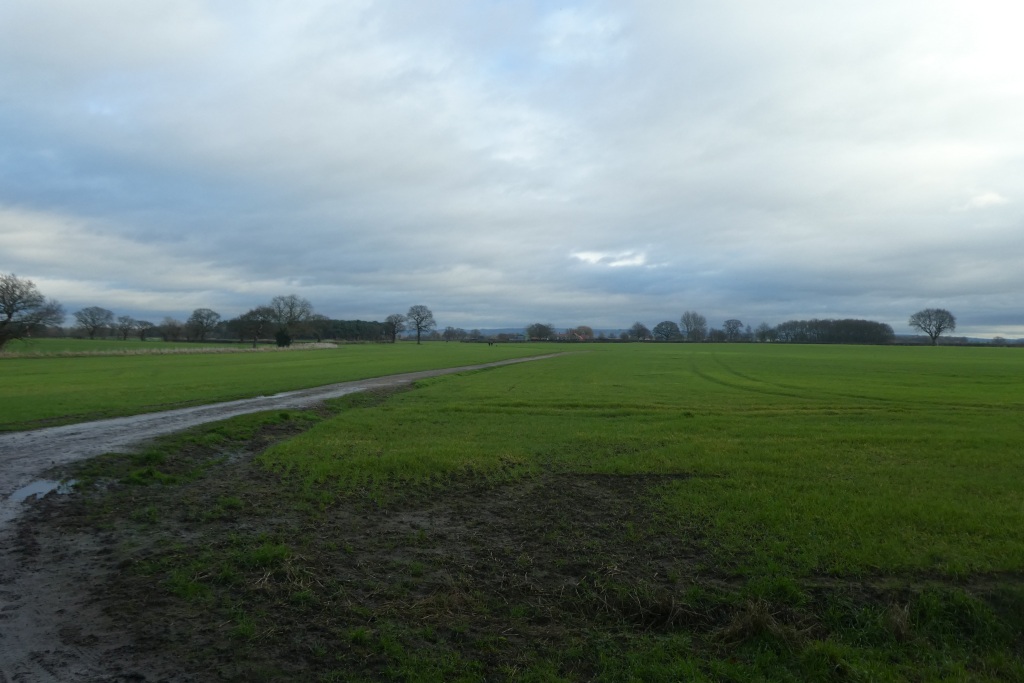 Path To Lime Field Farm  — Agriculture & Farming & Agriculture Photography | RESIMLAND