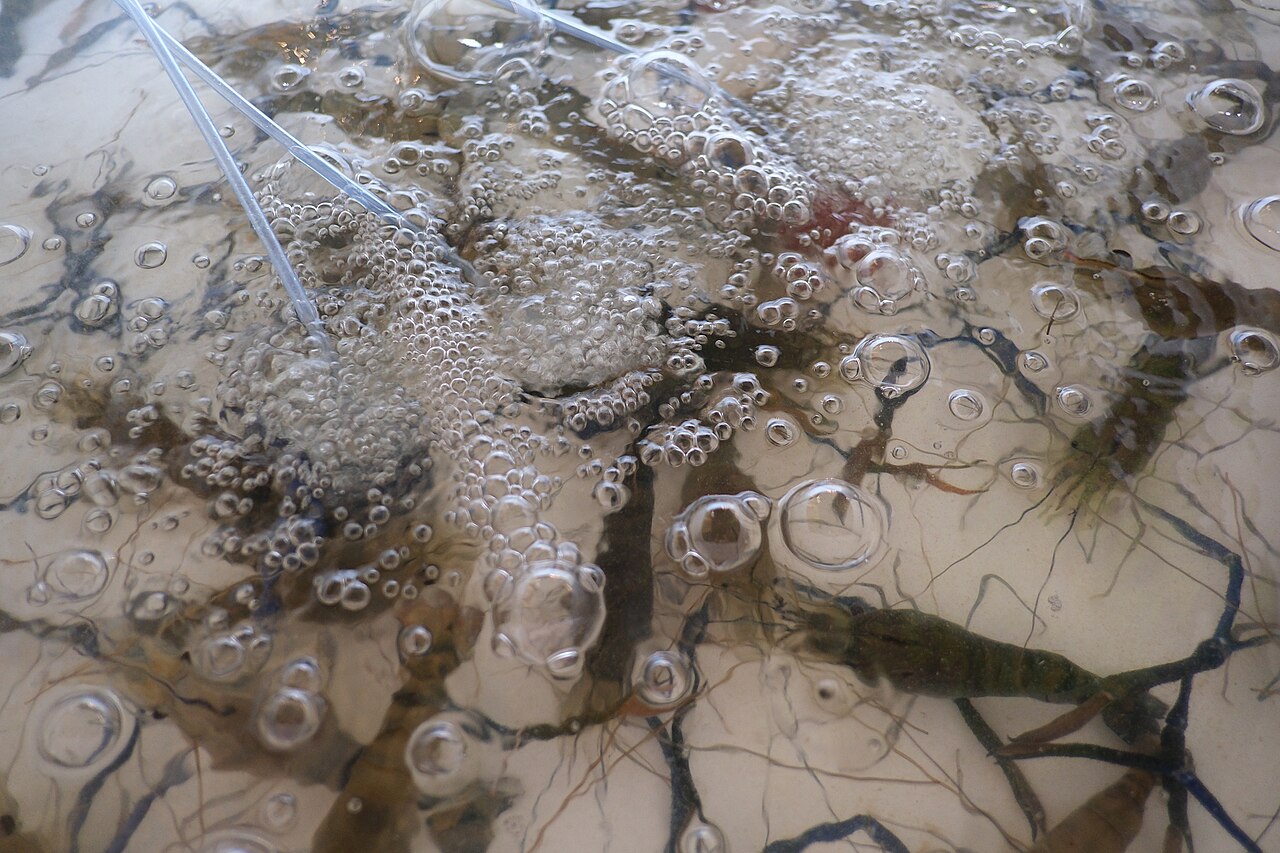 This Photo Shows A Close-up View Of Bubbles And Water On What Appears — Backgrounds | RESIMLAND