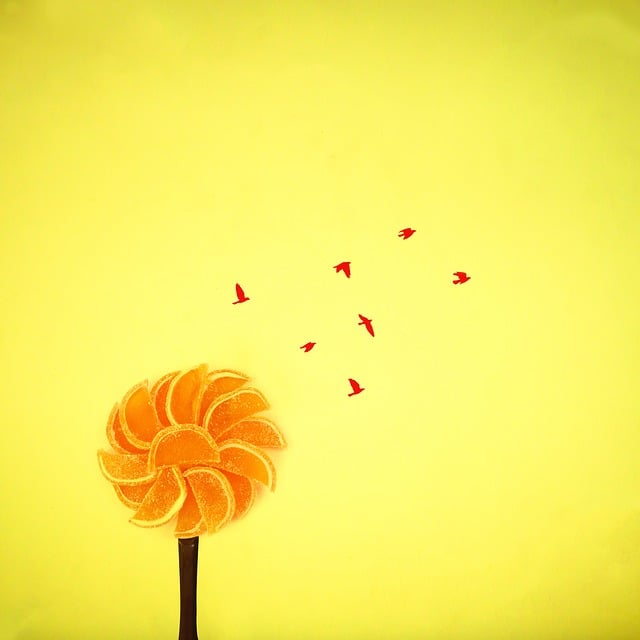 Tree Creative Birds Photography