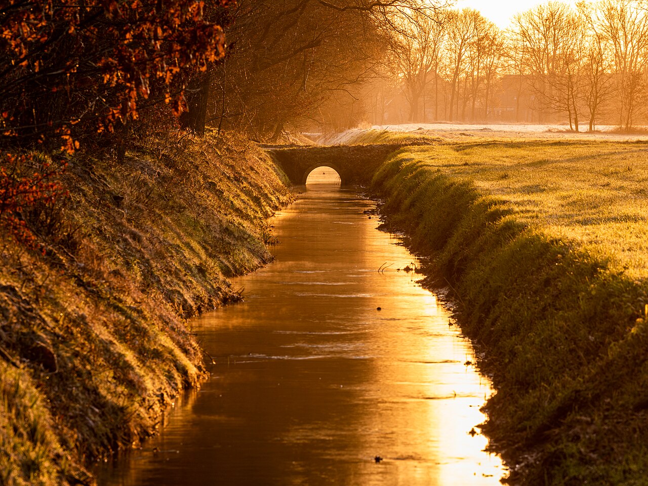 Trees And Ditch At Sunrise In Börnste Hamlet, Kirchspiel, Dülmen, Nort — Wallpapers | RESIMLAND