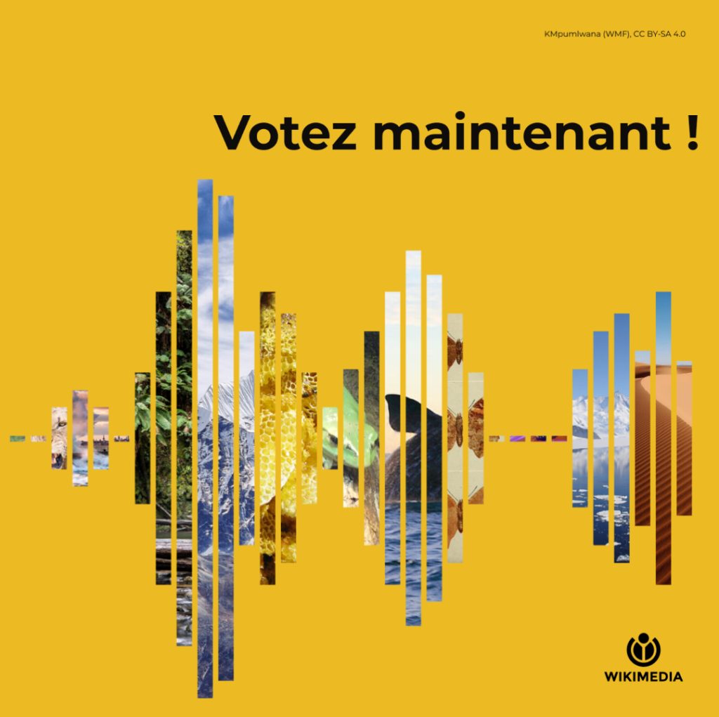 Votz Maintenant 02 – Concours De Création Du Logo Sonore De La Fondati — Logos & Branding | RESIMLAND