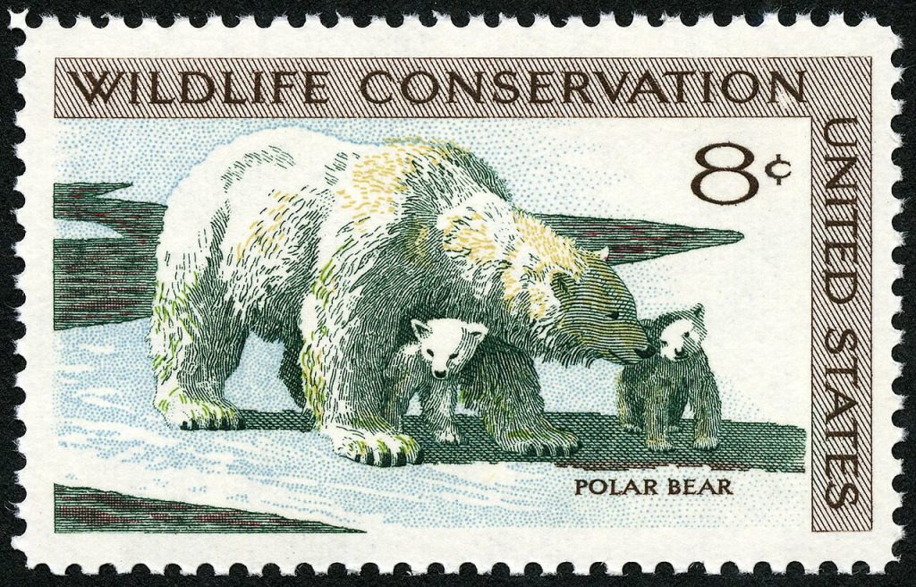 Wildlife Conservation Polar Bear 8-cent 1971 Issue U.s. Stamp. — Animals | RESIMLAND