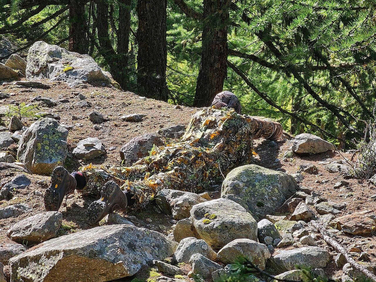 Wildlife Photographers Wearing A Ghillie Suit Looking For Red Deers In — Animals | RESIMLAND